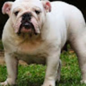 Meet your Posher, Edwin